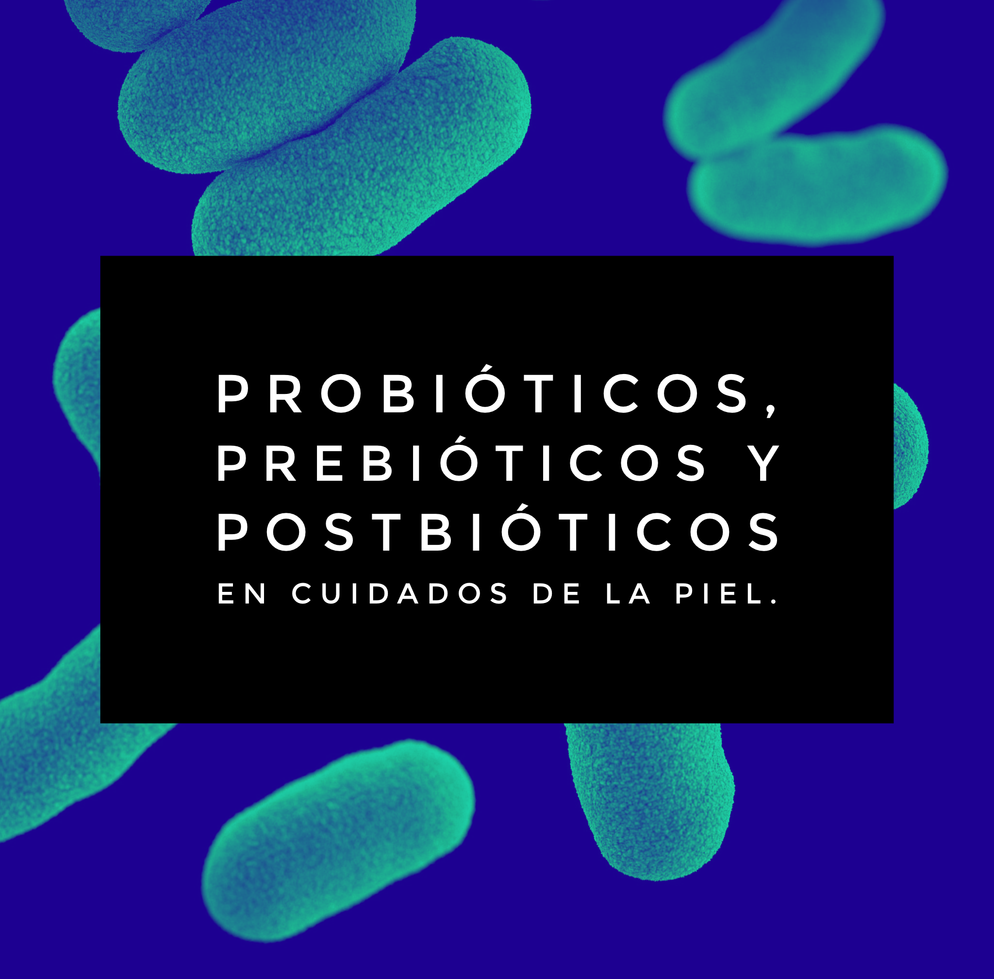 Probióticos Prebióticos Y Postbióticos En El Cuidado De La Piel